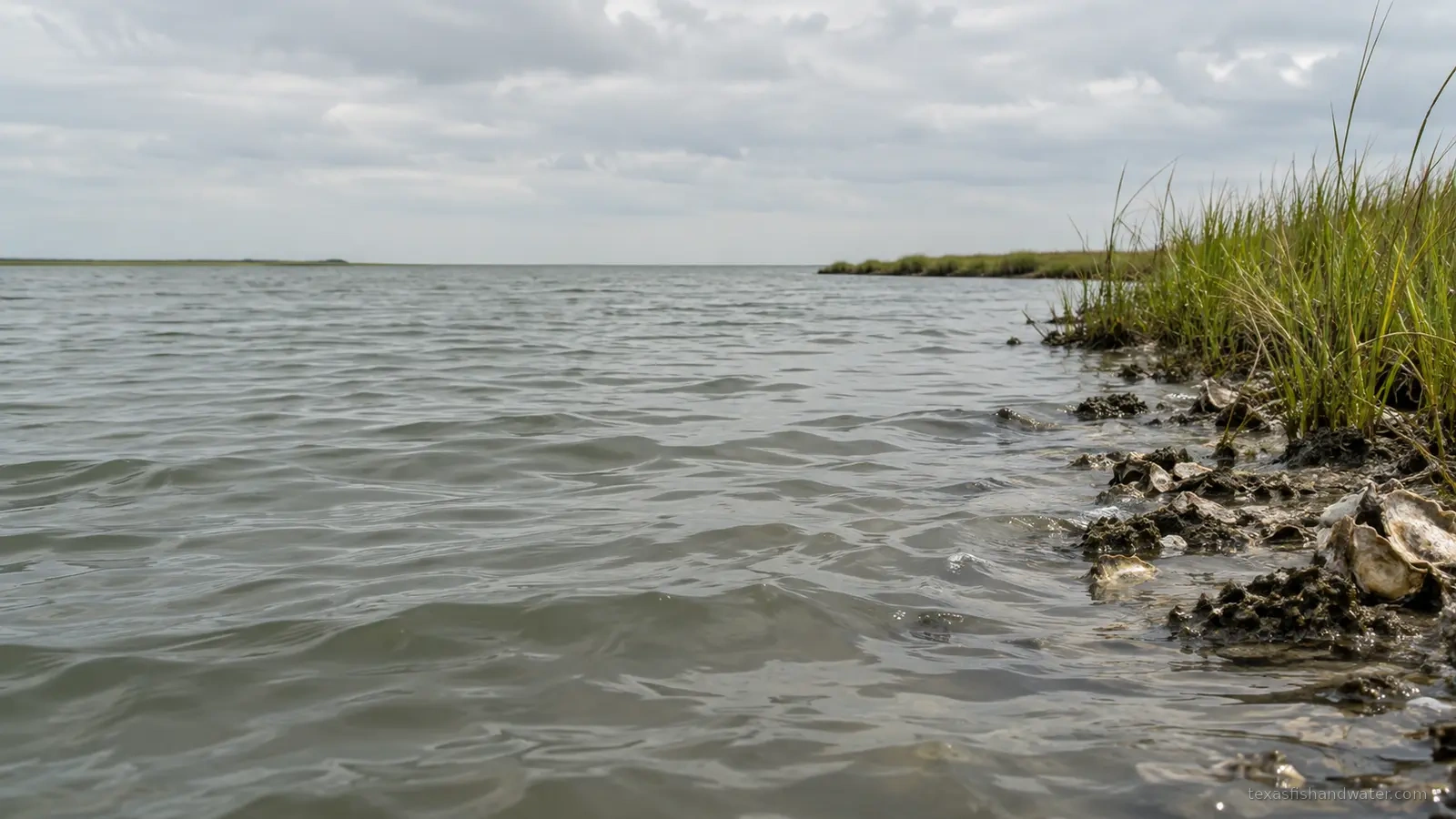 Copano Bay inspired coastal scenery