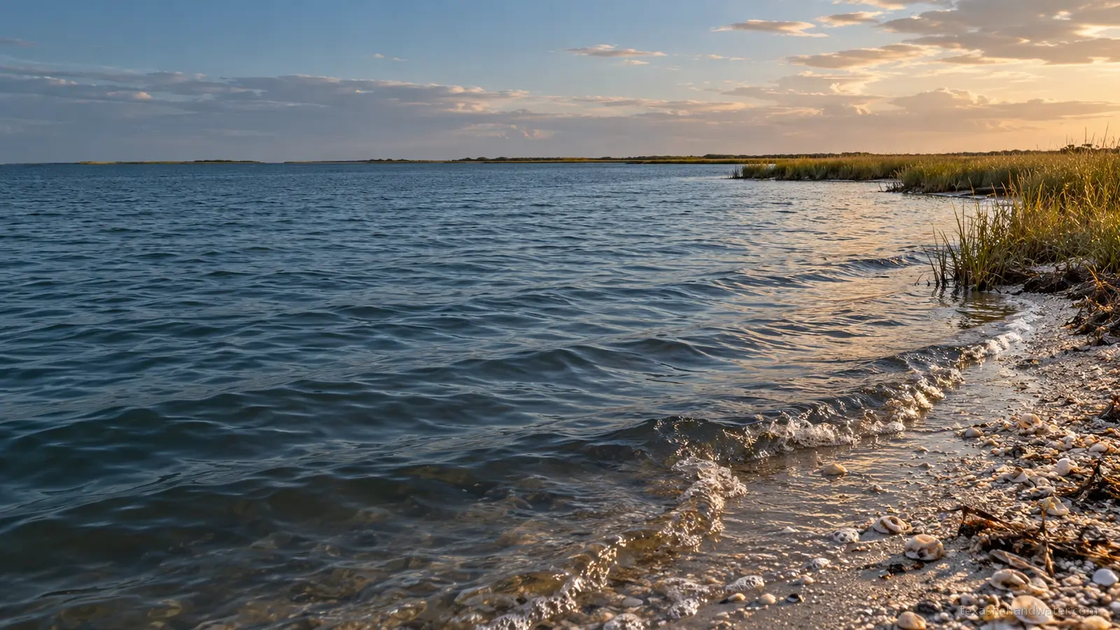 Matagorda Bay inspired coastal scenery