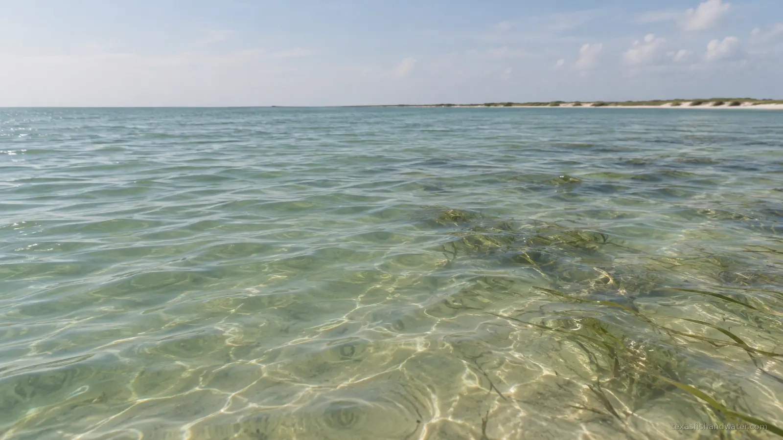 Upper Laguna Madre inspired coastal scenery