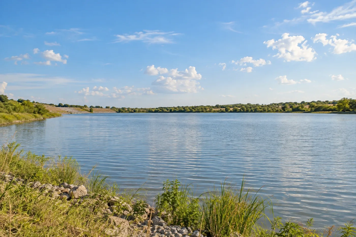 Bardwell inspired lake illustration
