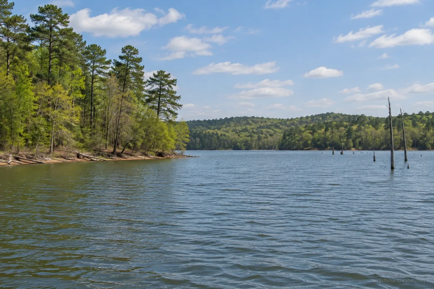 Brandy Branch