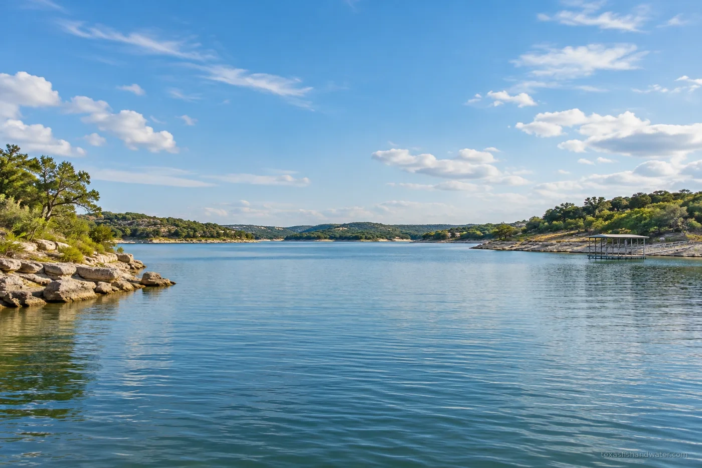 Brownwood inspired lake illustration