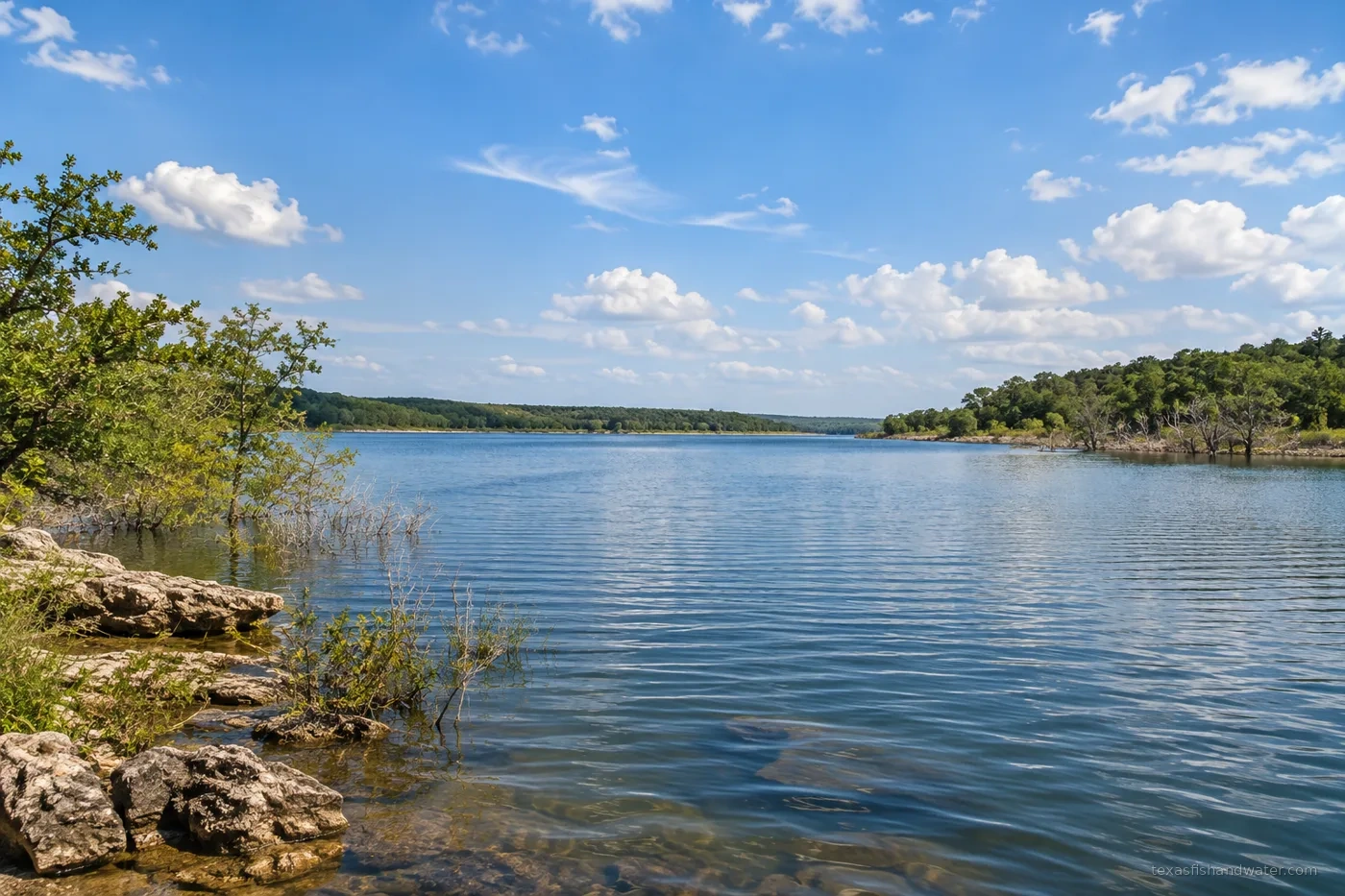 Buffalo Creek inspired lake illustration