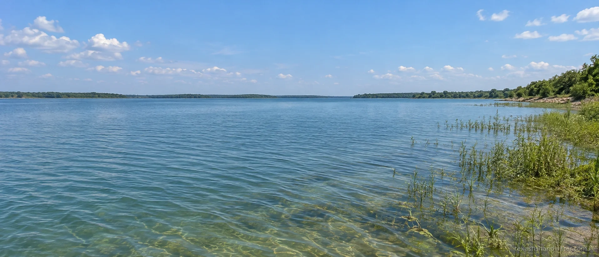 Cedar Creek inspired lake illustration