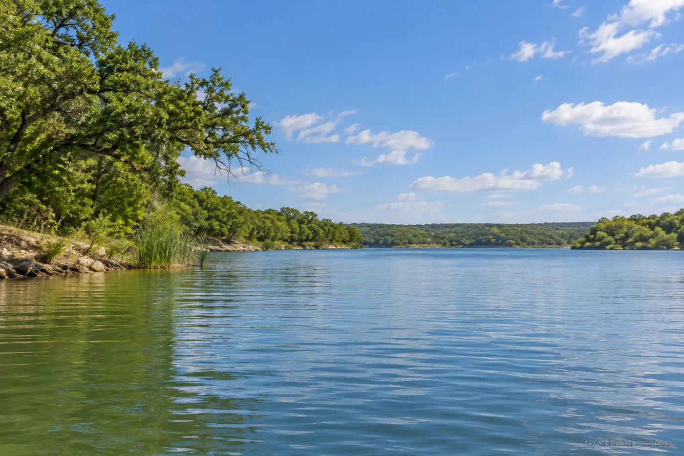 Cleburne State Park inspired lake illustration