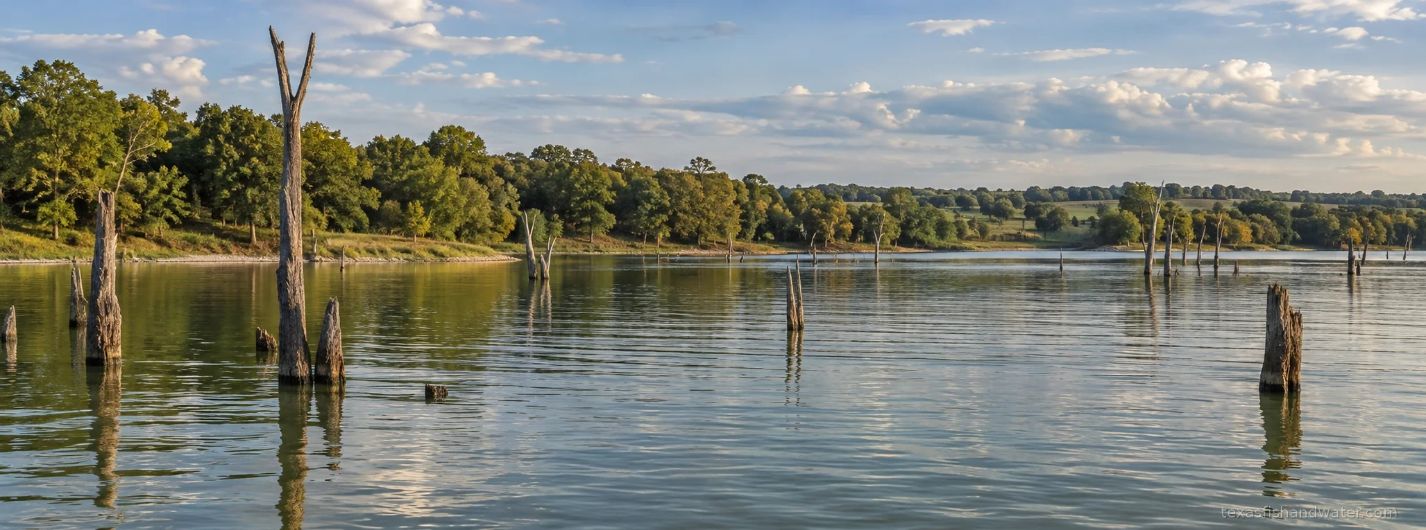 Lake Fork Reservoir