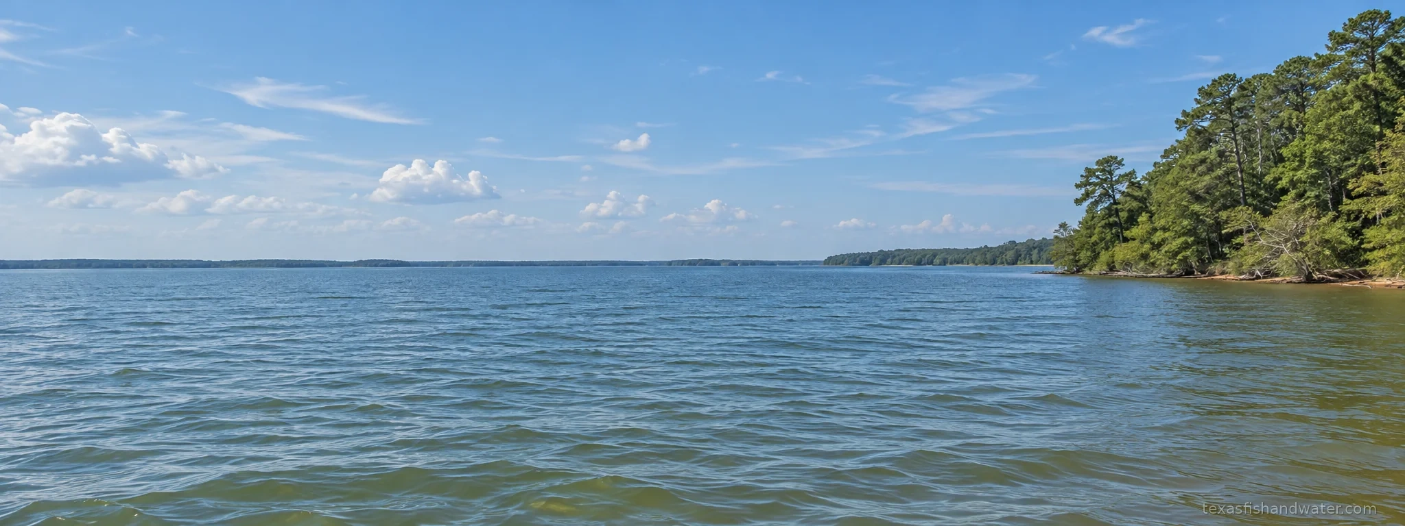 Lake Livingston