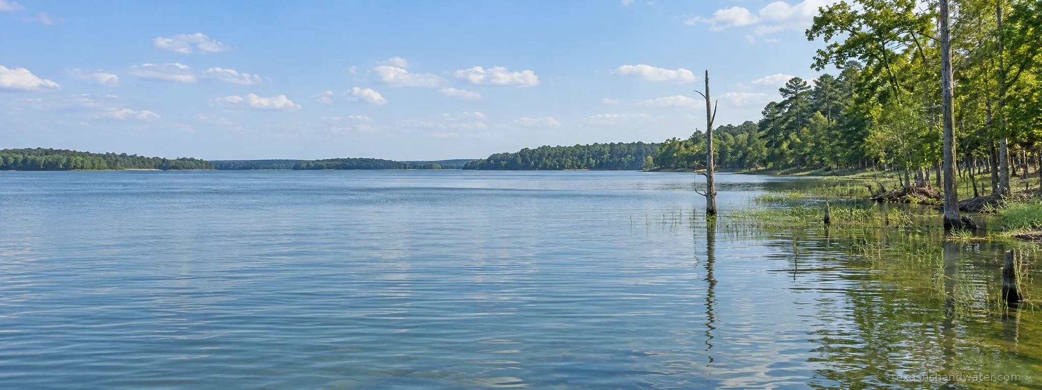 Lake Palestine
