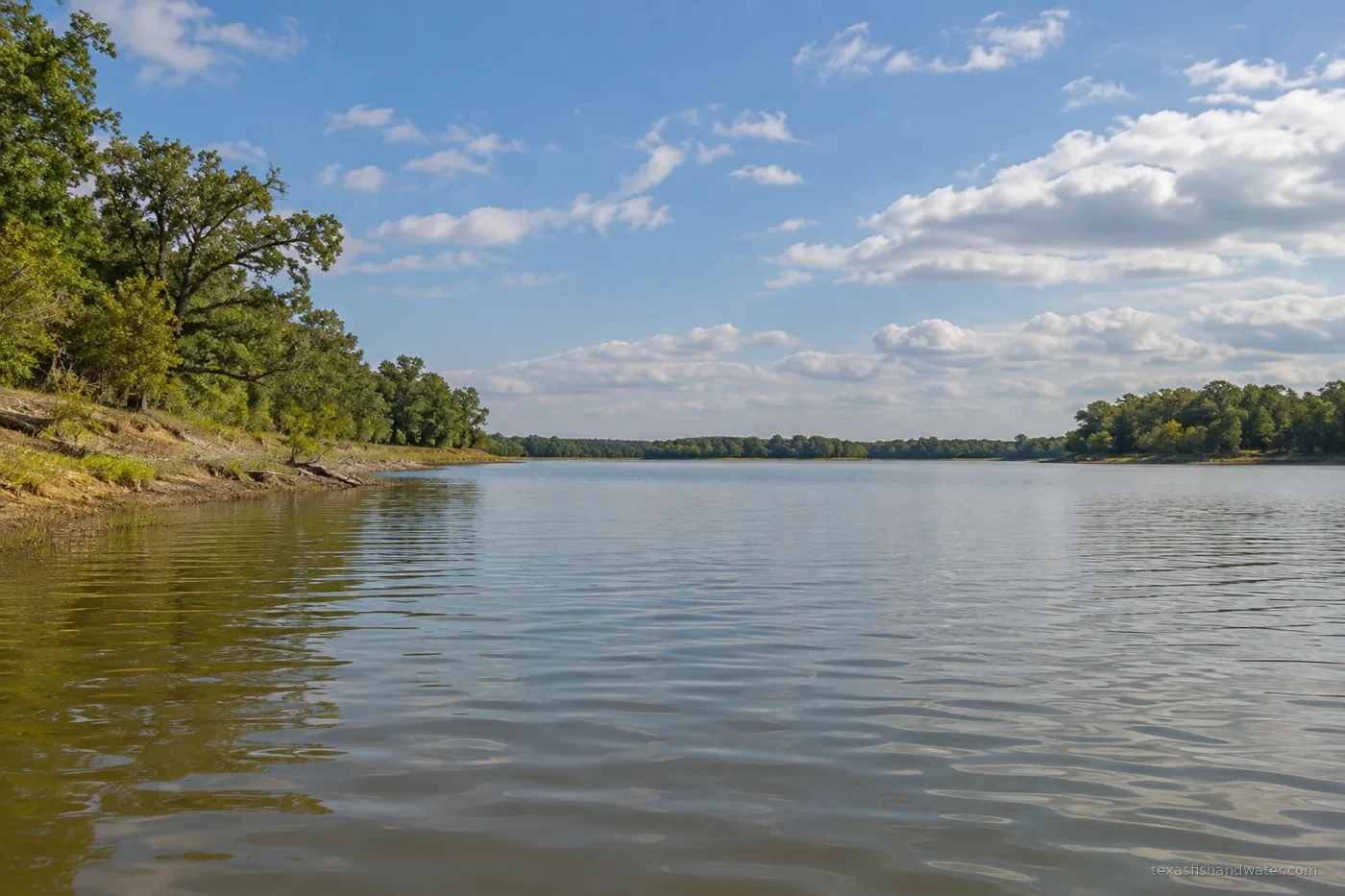 Sulphur Springs
