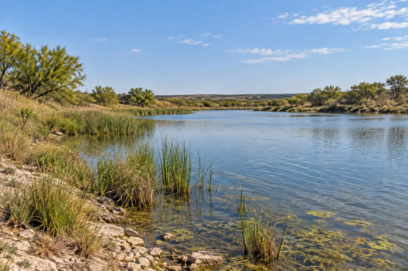 Sweetwater