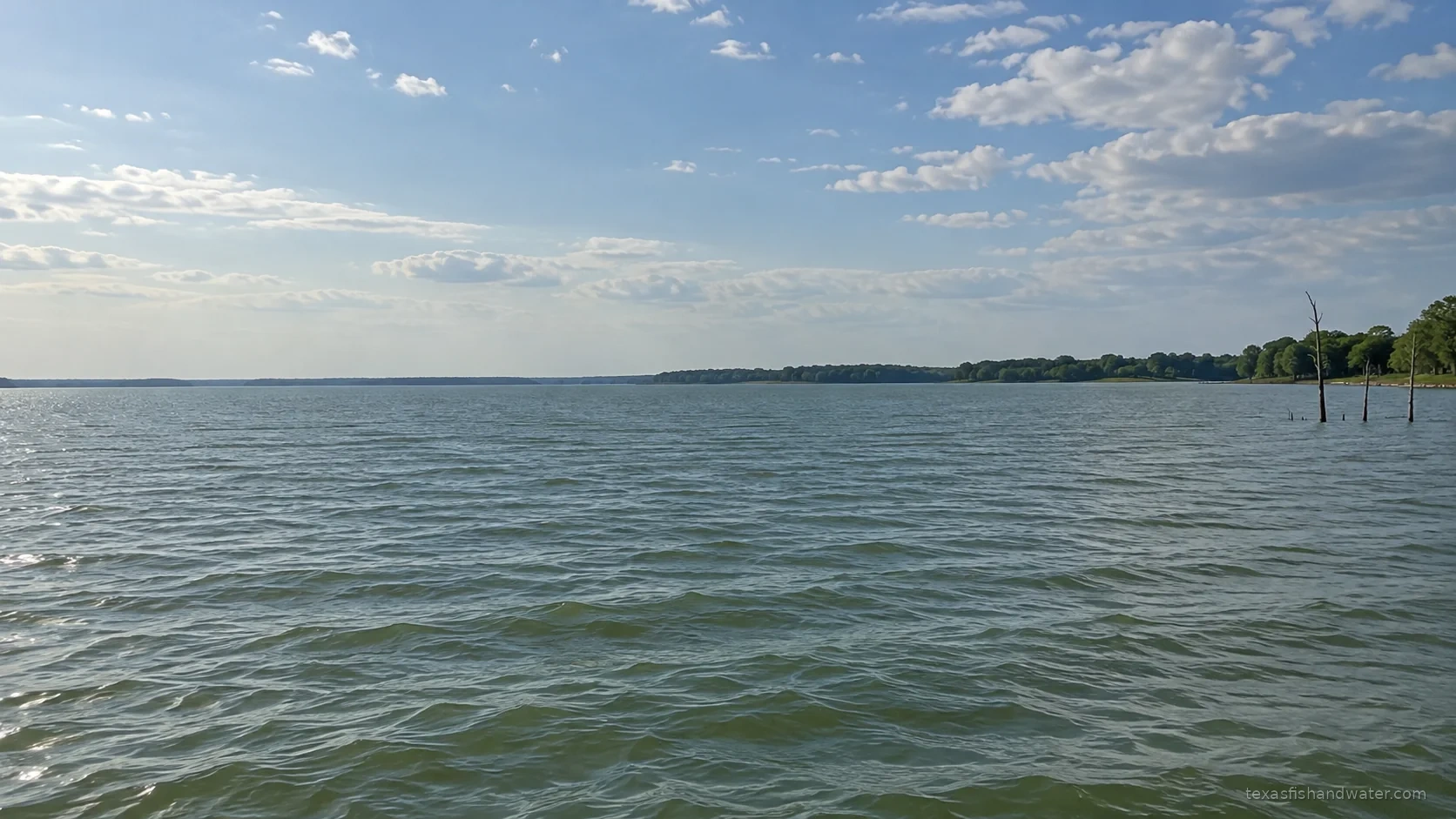 Lake Tawakoni