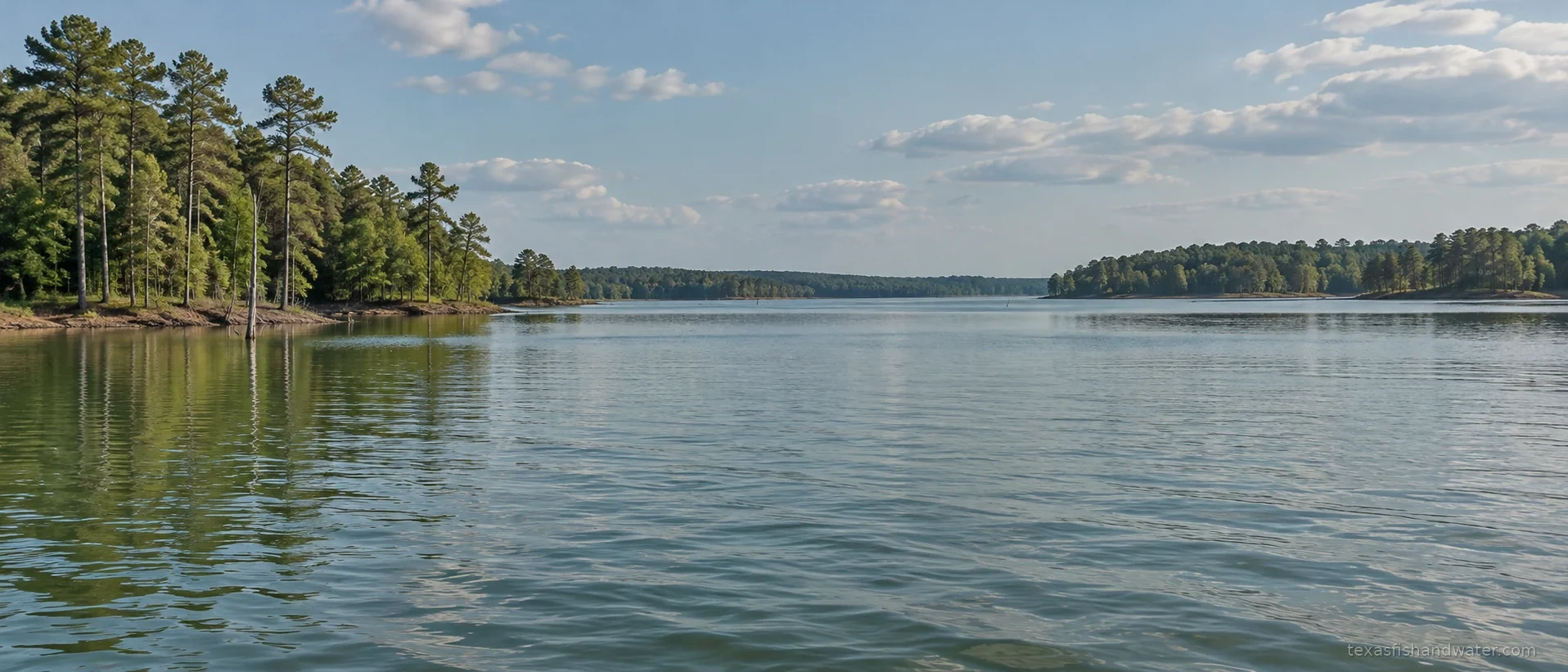 Toledo Bend Reservoir