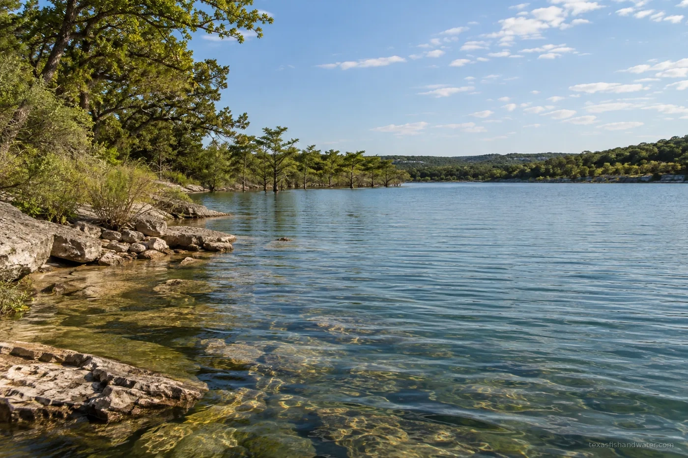 Wheeler Branch inspired lake illustration