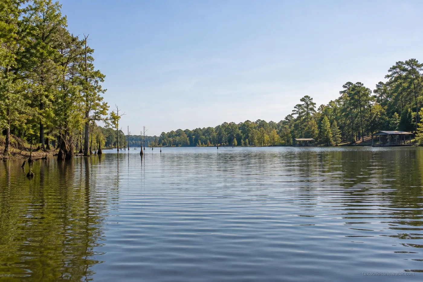 Winnsboro inspired lake illustration