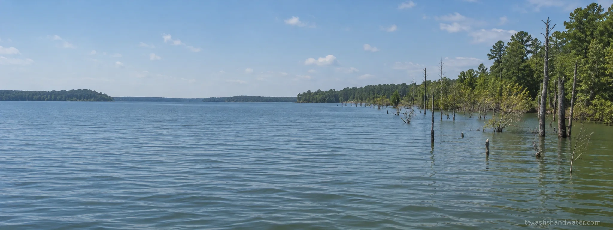 Wright Patman inspired lake illustration